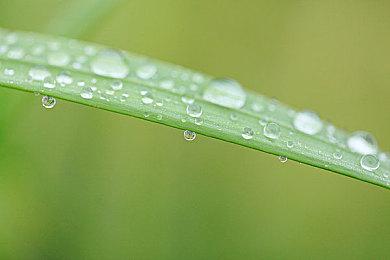 寓教于玩 《进学研究 得分力提升》Switch版提供小学校